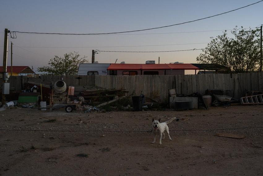 A guard dog is seen chained to a slack line outside of Jesús Sierra’s home Monday, Nov. 6, 2023 in West Odessa. The family has lived in West Odessa for 13 years after spending time in various parts across Texas and New Mexico.
